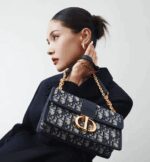 highlight the streamlined design. The bag features a removable chain strap with a leather insert that allows it to be comfortably carried by hand