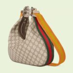 the accessory is further defined by a G shaped hook closure. Paired with soft materials