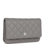 This Wallet on Chain is of Grey caviar with light gold tone hardware and has a front flap with CC emblem