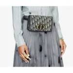 a must-have accessory that exudes elegance and versatility. This stunning pouch showcases the iconic ‘CD’ element at the front