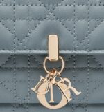 the functional accessory can accommodate all the daily essentials. Its jewel chain allows it to be worn over the shoulder or crossbody.