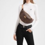 Brand: Louis Vuitton