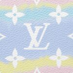 - Brand : Louis Vuitton