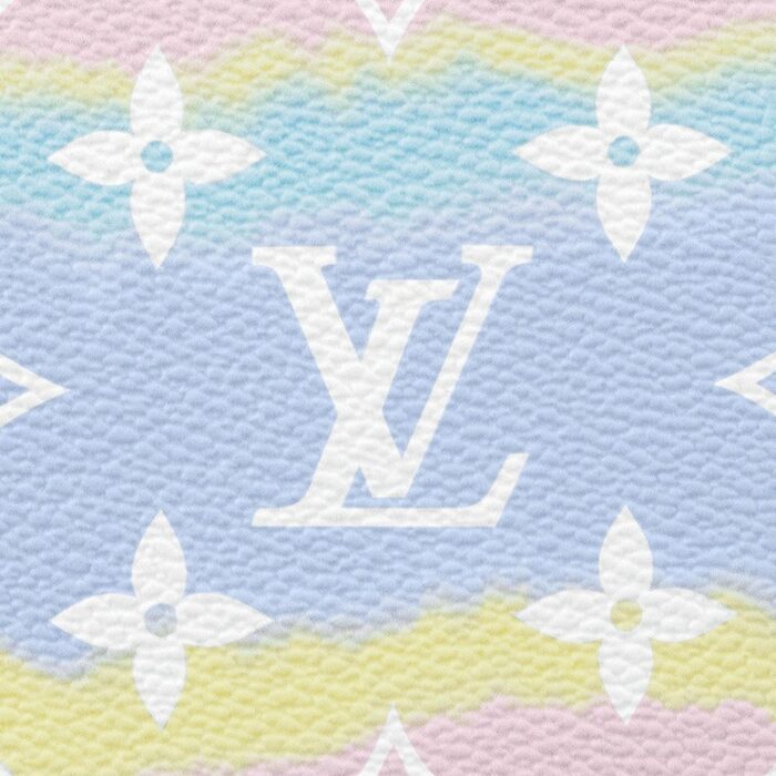 - Brand : Louis Vuitton