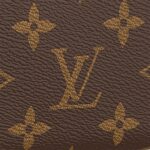 it is fitted with a chic top handle and a long detachable strap for shoulder or cross-body wear.Detailed Features9.84 x 7.48 x 2.76 inches(Length x Height x Width)•Monogram coated canvas•Natural cowhide trim•Textile lining•Gold-color hardware•Short top handle for hand carry•Removable