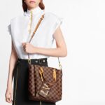 functional model comes with a separate little 'LV' pouch.Detailed Features11.02 x 10.24 x 4.72 inches( lengthx heightx width )•Saffron•Damier coated canvas•Colored
