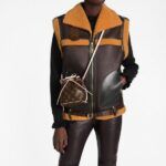 Brand: Louis Vuitton