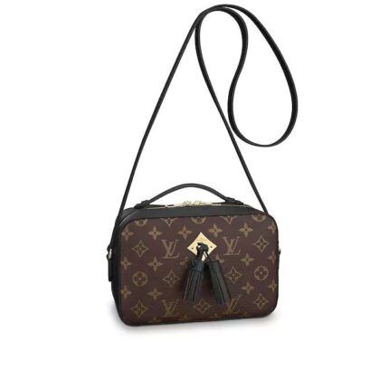 Monogram canvas and smooth calfskin combine in the Saintonge