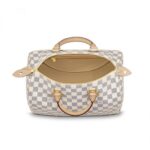 the Speedy 30 is an elegant