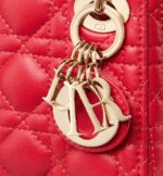 thanks to its handles and adjustable and removable strap