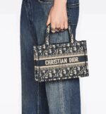 sans-serif; background-color: #f6f6f6;">The Dior Book Tote